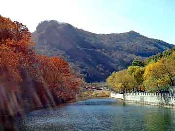 管家婆黑白马报图库，朗逸宝来